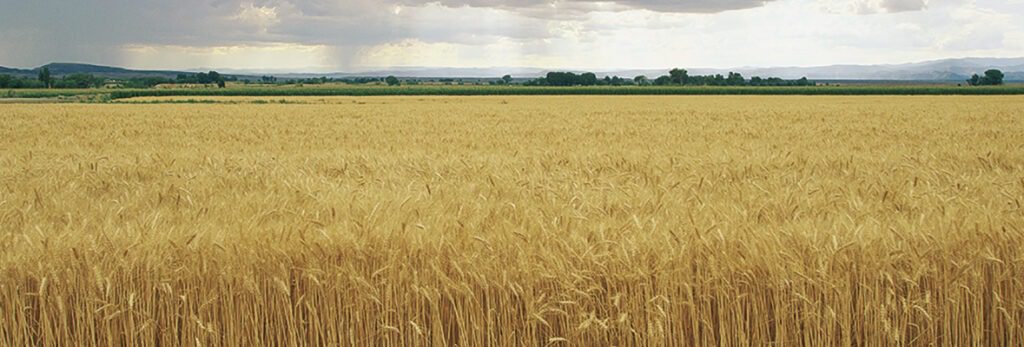 Aire Sano: Teruel