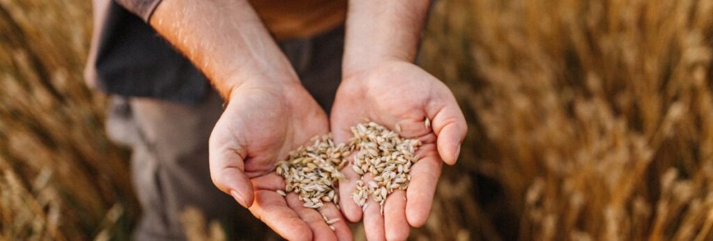 Proceso controlado de trazabilidad que define la excelencia de Aire Sano