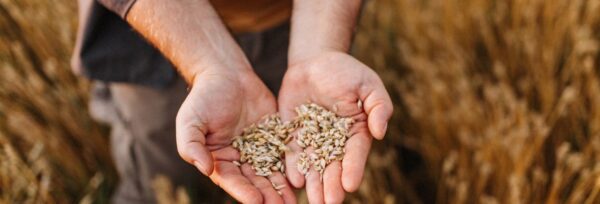 Proceso controlado de trazabilidad que define la excelencia de Aire Sano